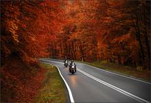 autumn travel