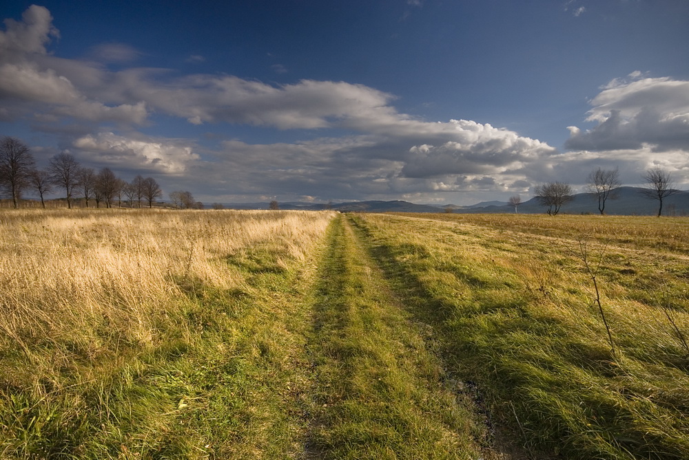 Beskid Niski