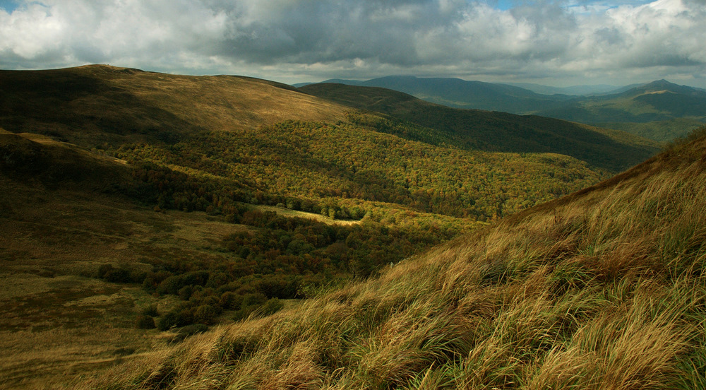 Bieszczady