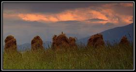 Tatry