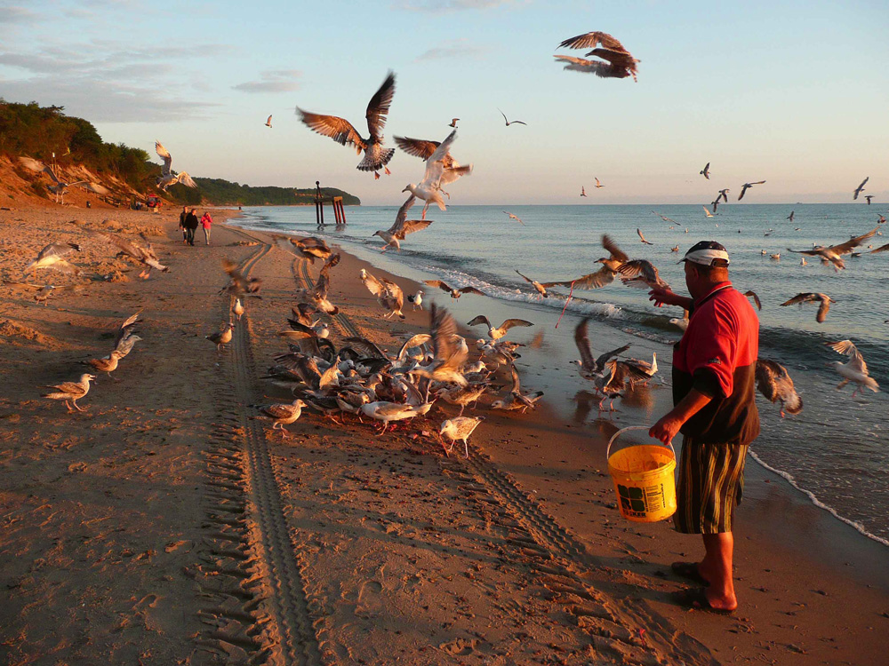 Plaża o świcie