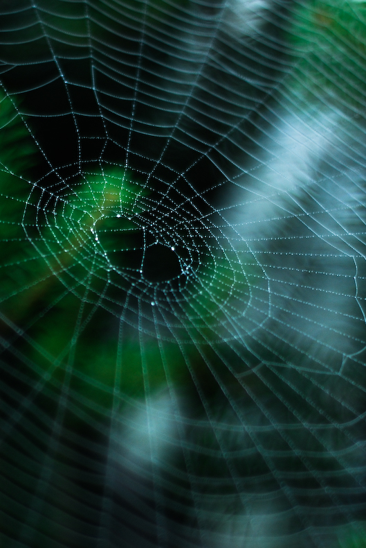 Web