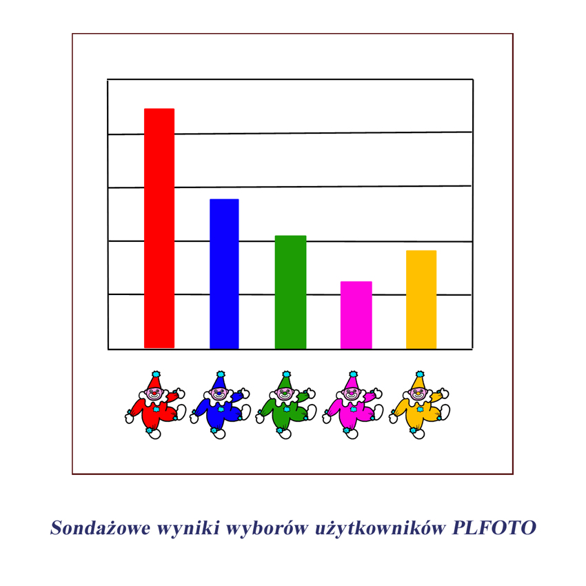 Sondażowe wyniki wyborów użytkowników plfoto