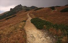 Tatry