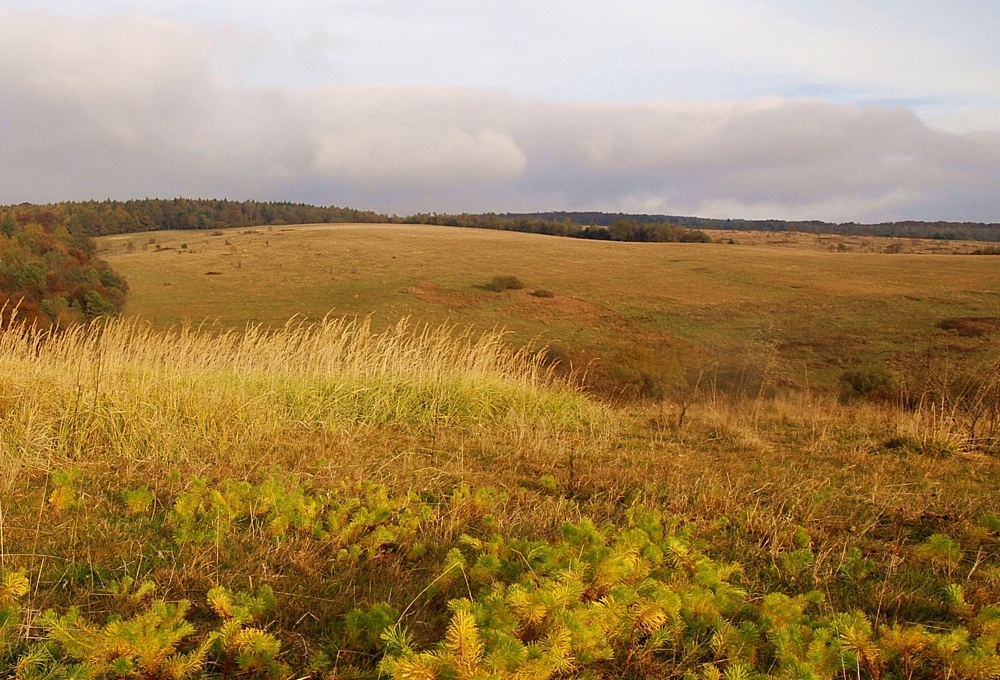 OŻENNA (Beskid Niski)