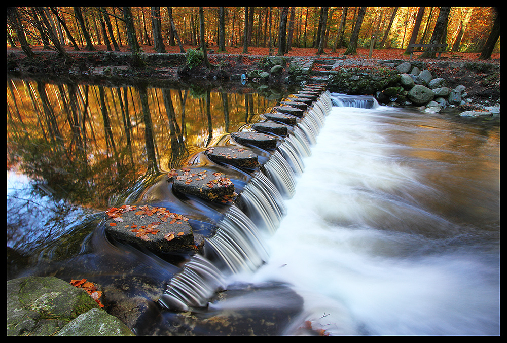 Stepping Stones