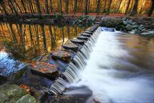 Stepping Stones