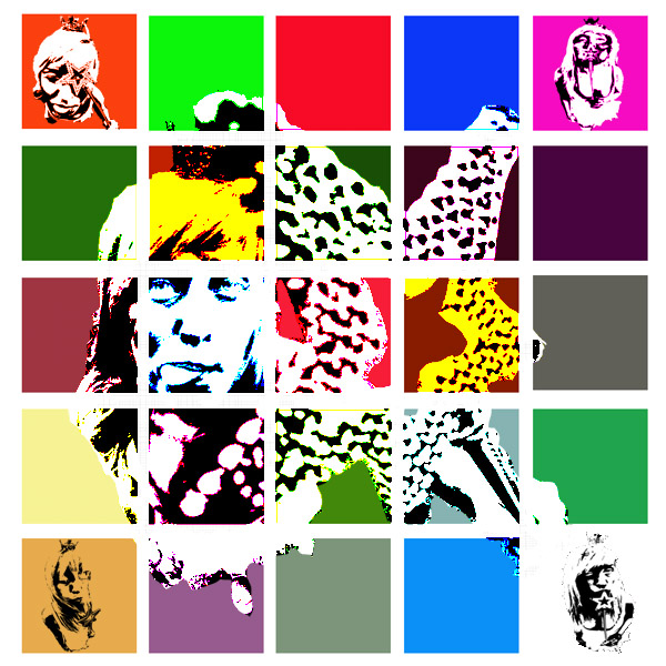 warhol style