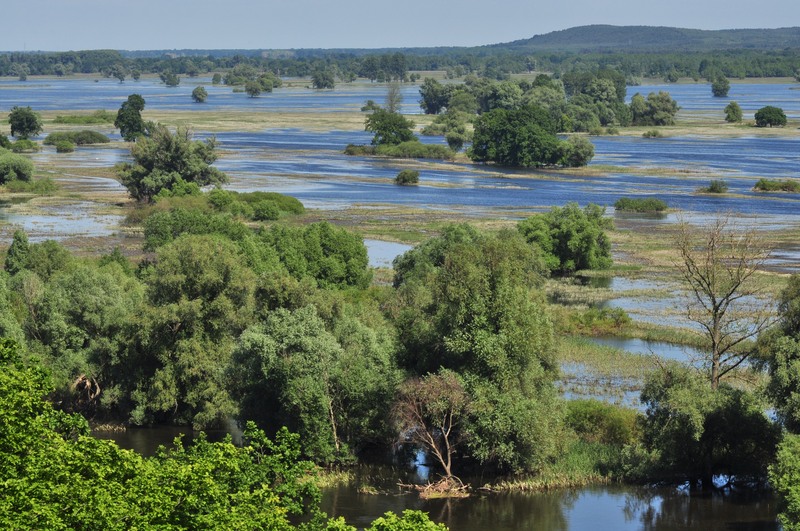 Serengeti w porze dżdżystej