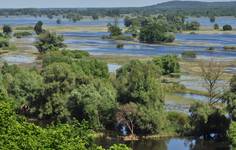 Serengeti w porze dżdżystej