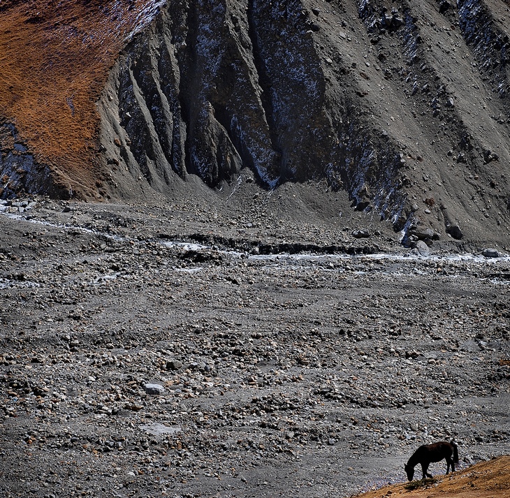 w drodze na Thorong la