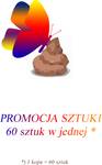 Promocja sztuki