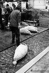 Tokyo Fish Market