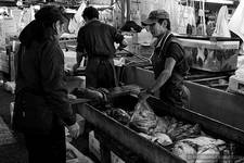 Tokyo Fish Market