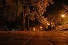 park nocą