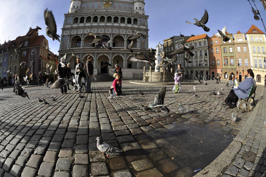 Stary Rynek w Poznaniu