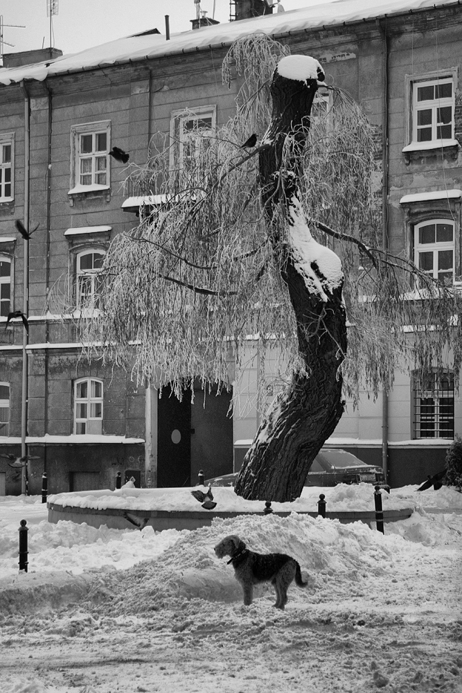 Lublin - Plac Rybny