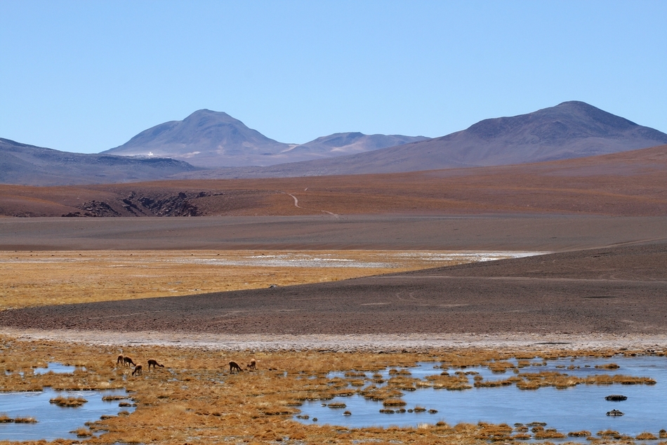 atacama