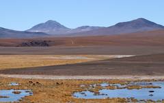 atacama