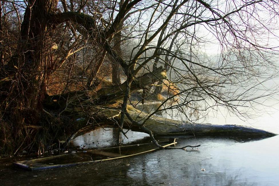 Zimową porą...