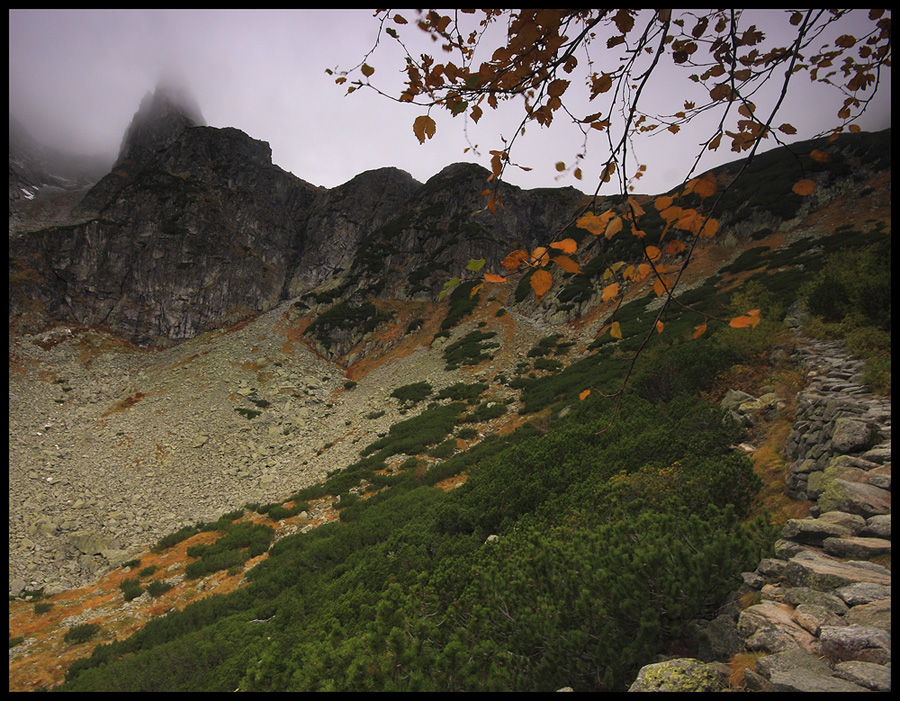 Tatry