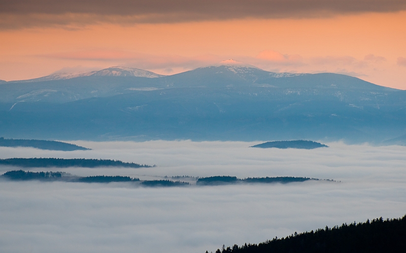 Śnieżka