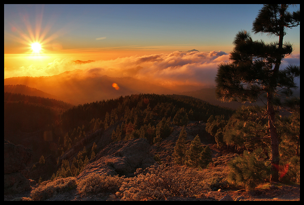 Pico de las Nieves