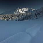 Tatry ... sterylnie ...