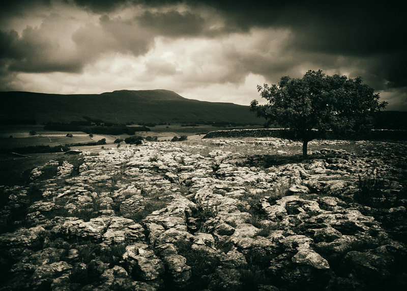 Limestone Rocks - Yorkshire UK