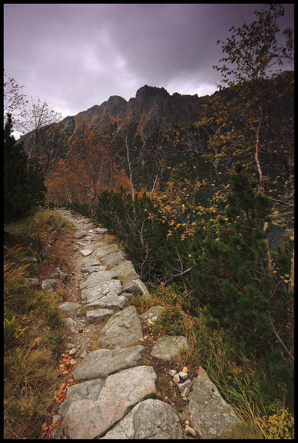 Tatry