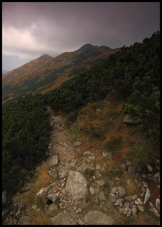 Tatry