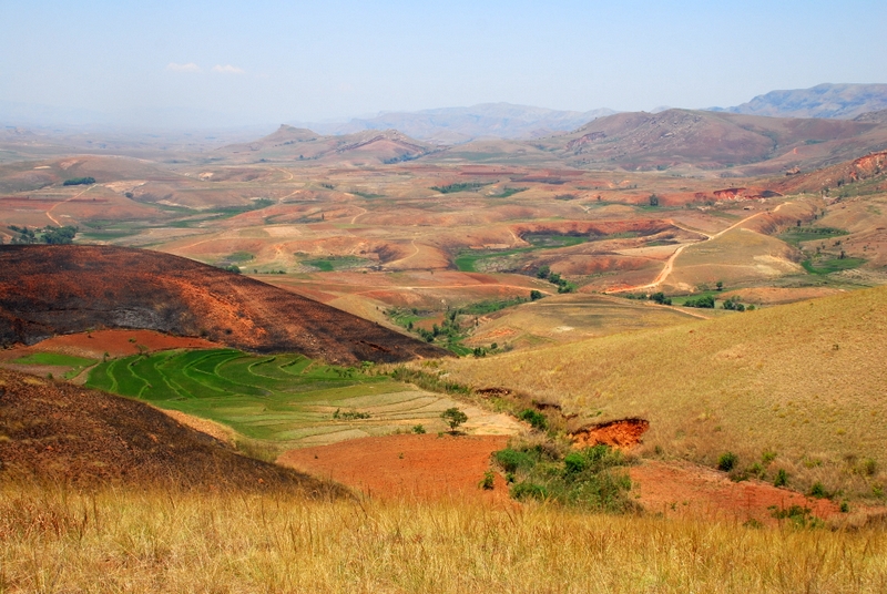 Wyżyna Madagaskaru