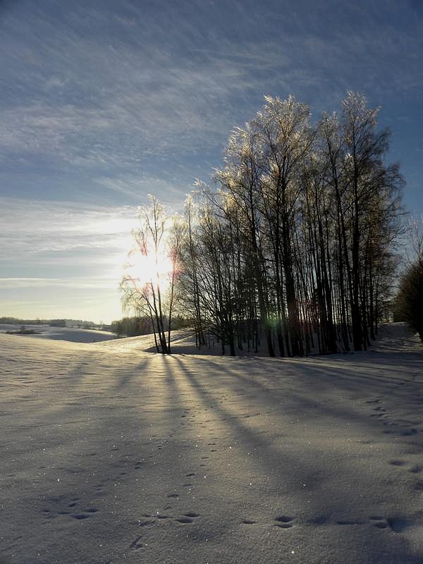 Śnieżna kraina :)