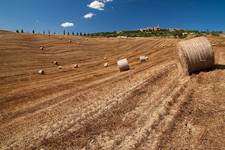 U podnóża Montepulciano