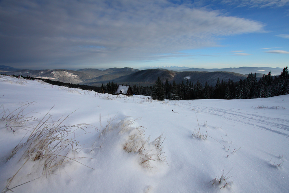 Zima w Beskidach II (Rycerzowa)