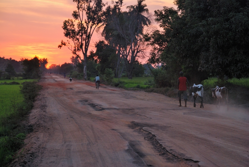 Ulice Madagaskaru