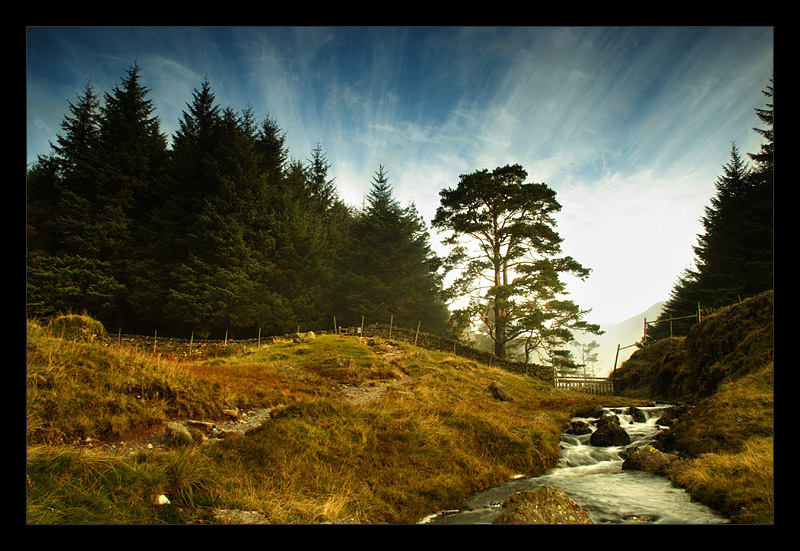 Cumbria