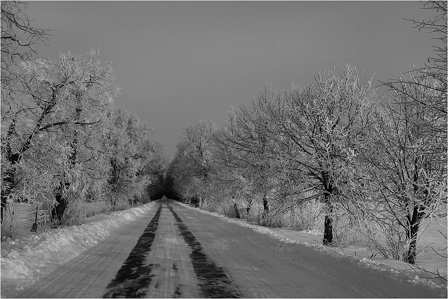 Szepietowo - Wawrzyńce