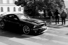 Shelby Mustang