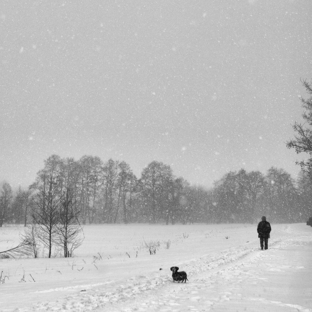 spacerkiem nad Bystrzycą