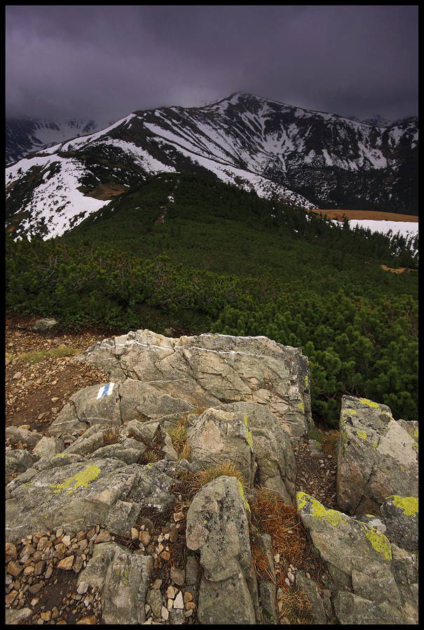 Tatry