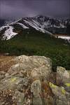 Tatry