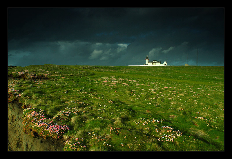 Loop Head