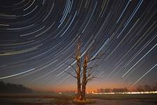 startrails