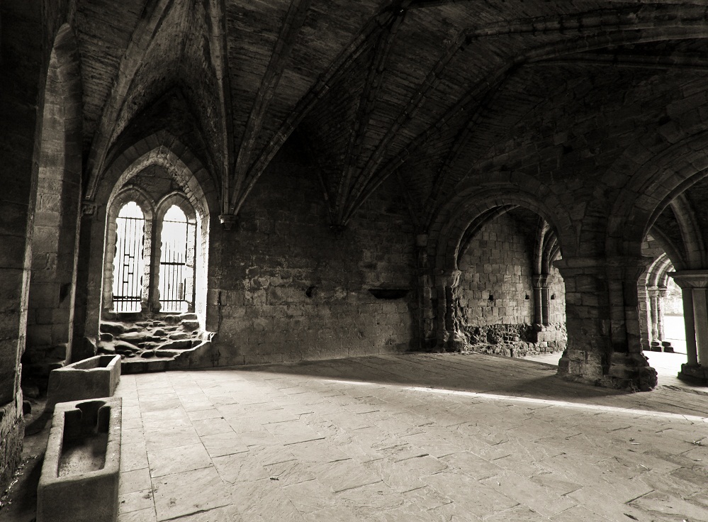 Kirkstall Abbey cd..