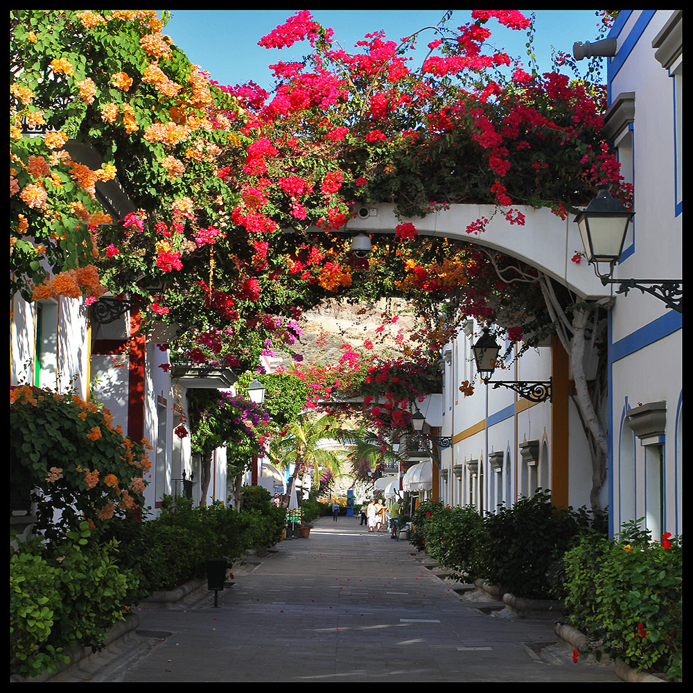 Puerto de Mogan