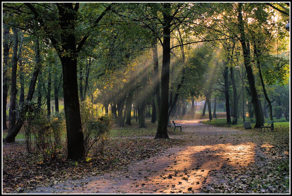 park jesienią