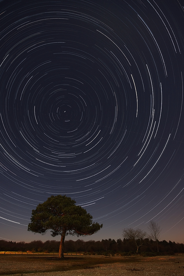 New Forest National Park