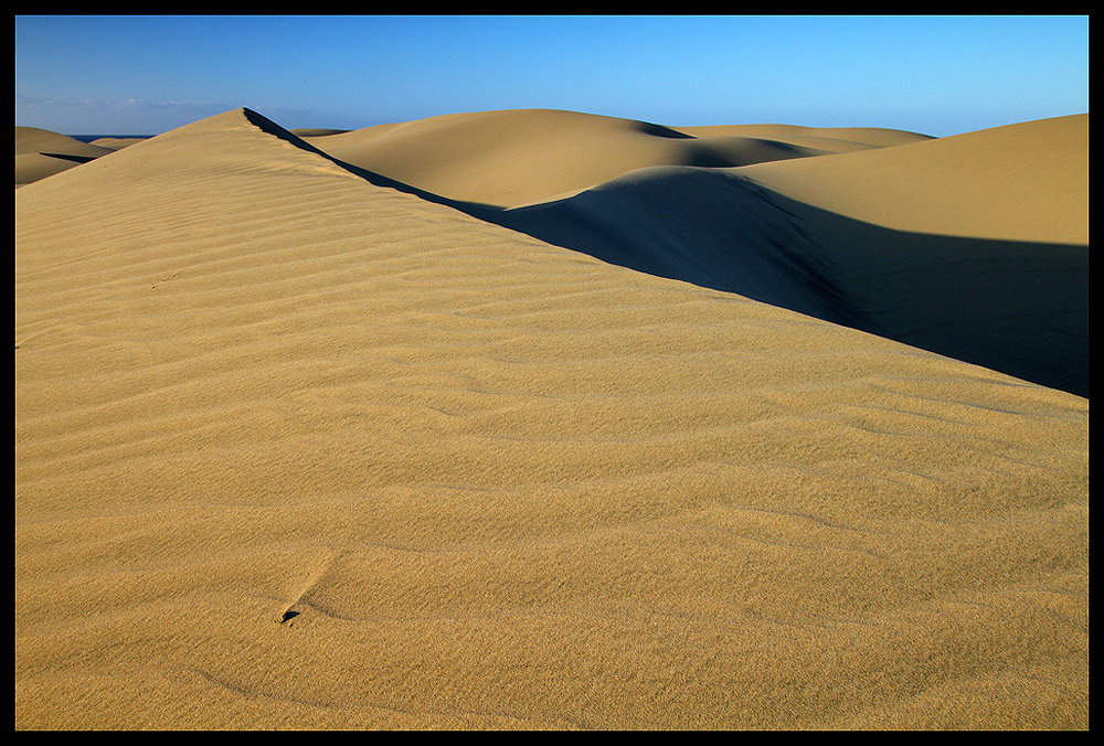 Dunas de Maspalomas