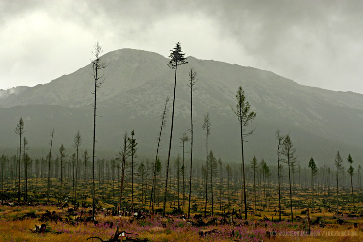 Słowackie Tatry